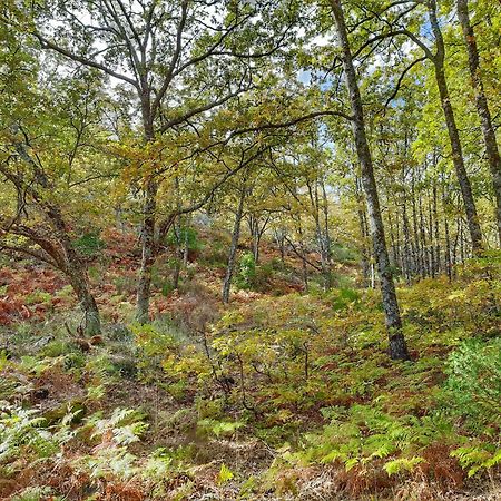 Apartamentos Rurales Entre Fuentes Cuacos De Yuste Dış mekan fotoğraf