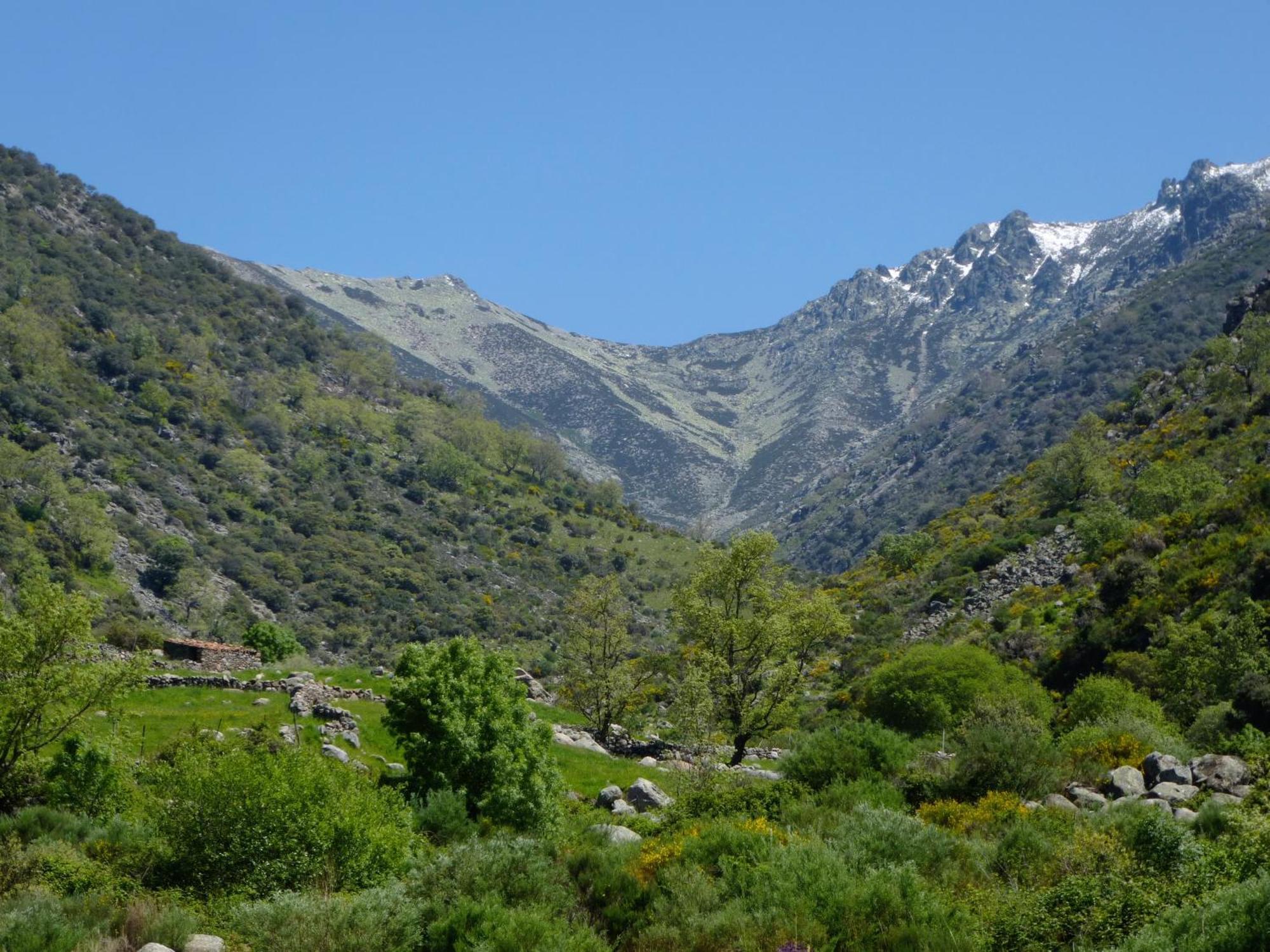 Apartamentos Rurales Entre Fuentes Cuacos De Yuste Dış mekan fotoğraf