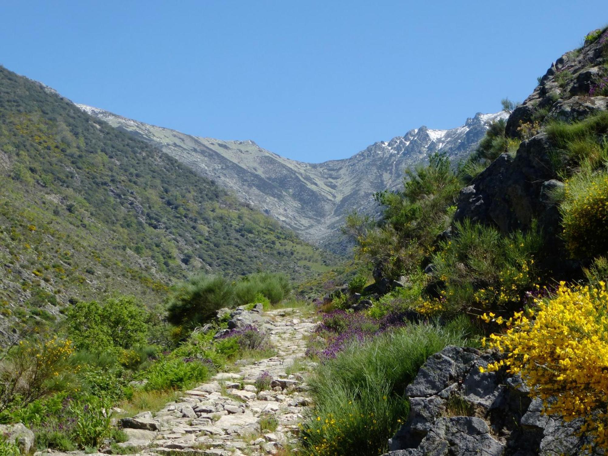 Apartamentos Rurales Entre Fuentes Cuacos De Yuste Dış mekan fotoğraf
