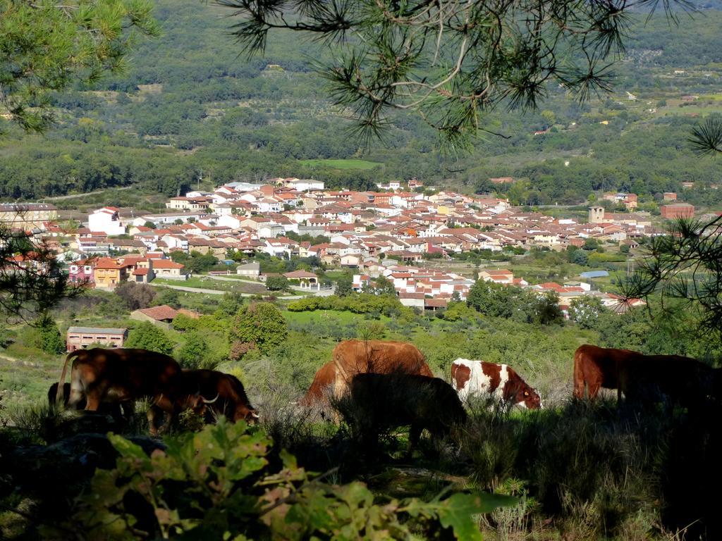 Apartamentos Rurales Entre Fuentes Cuacos De Yuste Dış mekan fotoğraf